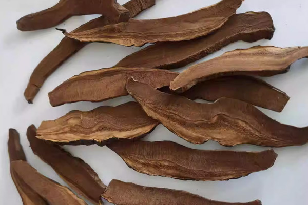 漢方健康食品販売 第2张-期楽株式会社 免疫サポート複合片